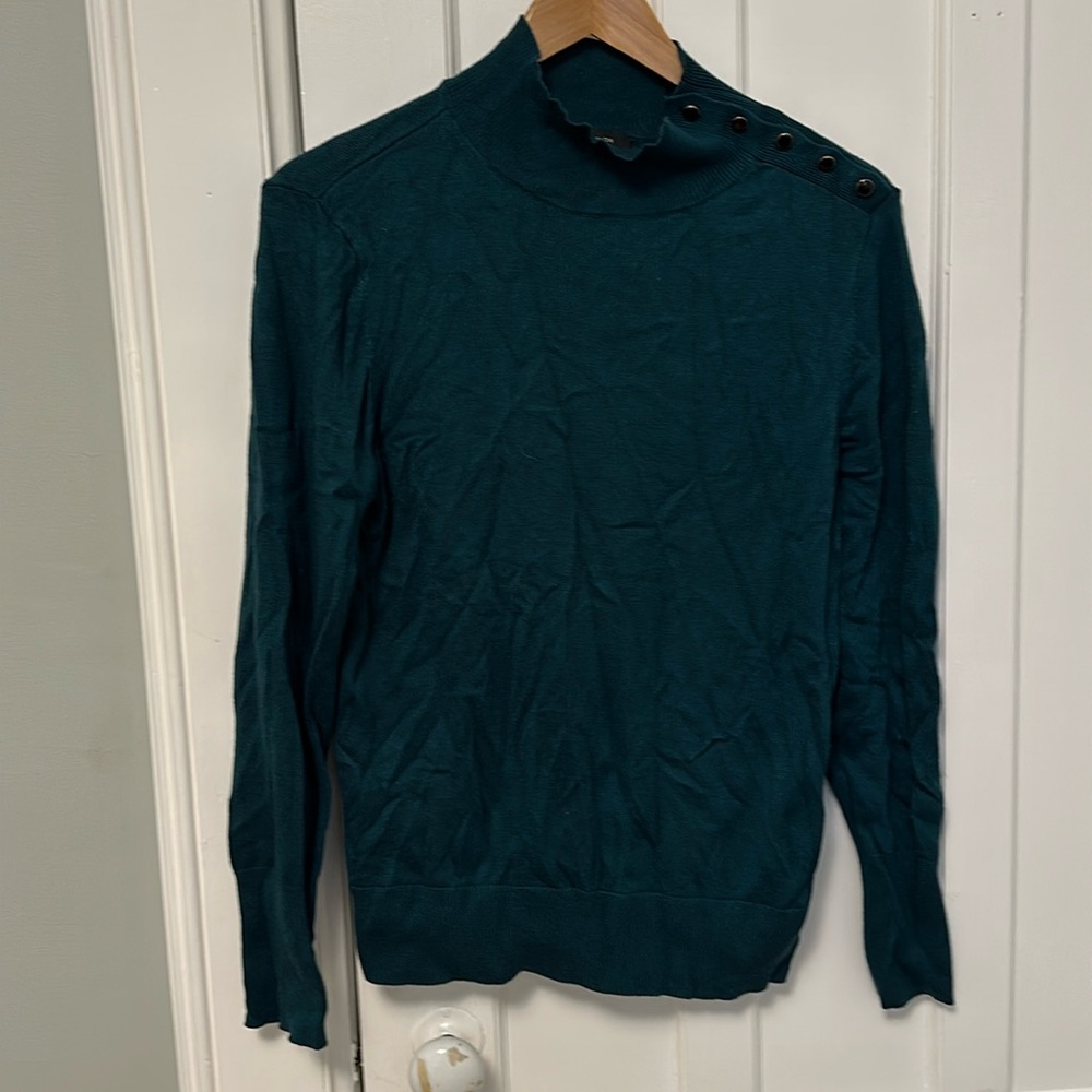 Green Ann Taylor turtleneck, size L